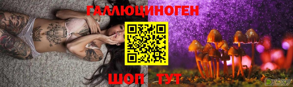 Галлюциногенные грибы MAGIC MUSHROOMS  Вход с VPN  Холмск 